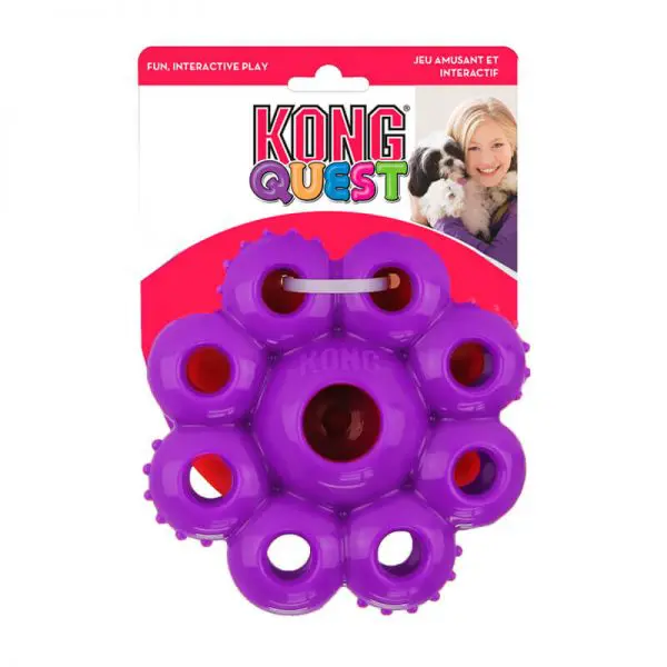 Kong Quest StarPods Purpura
