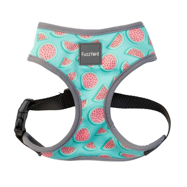 Arnés Summer Punch XL