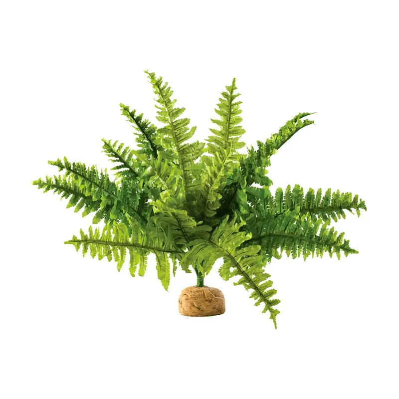 Helecho Boston pequeño- Exo Terra Helecho Boston pequeño- Exo Terra