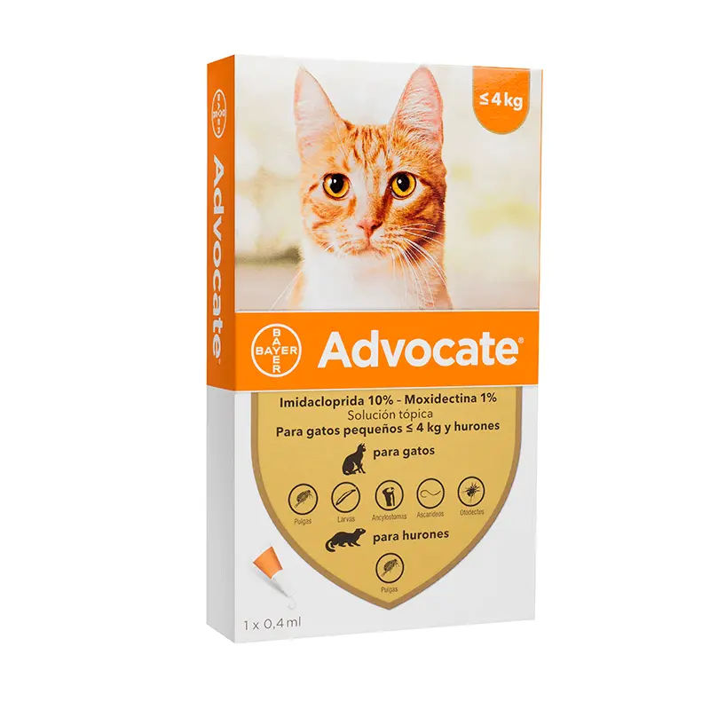 4 kg (1) Advocate felino
