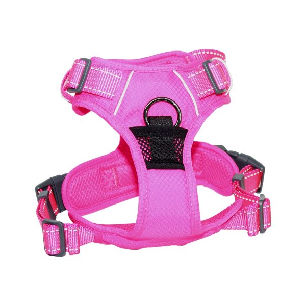 Arnes Deportivo Fucsia L