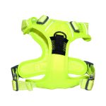 Arnes Deportivo de control S Verde