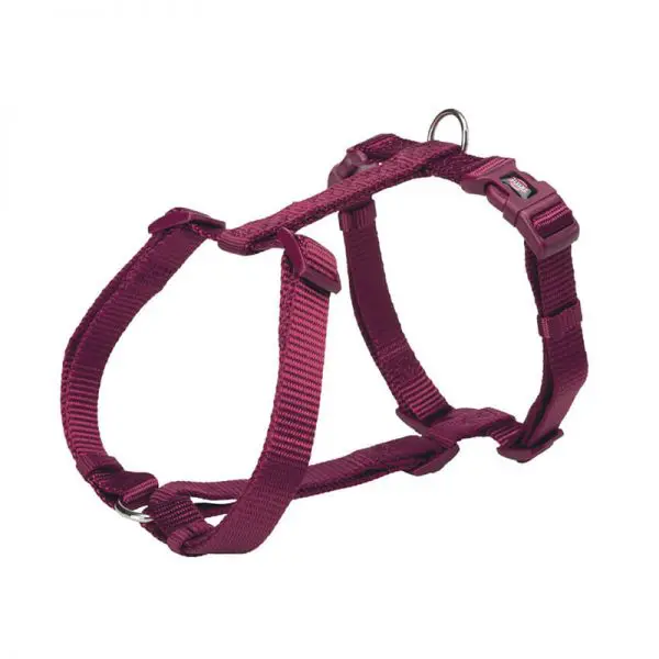 Arnés Orquídea Tipo H