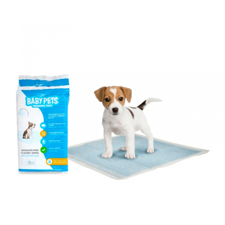 Baños y training pads para perros TusMascotas.cl