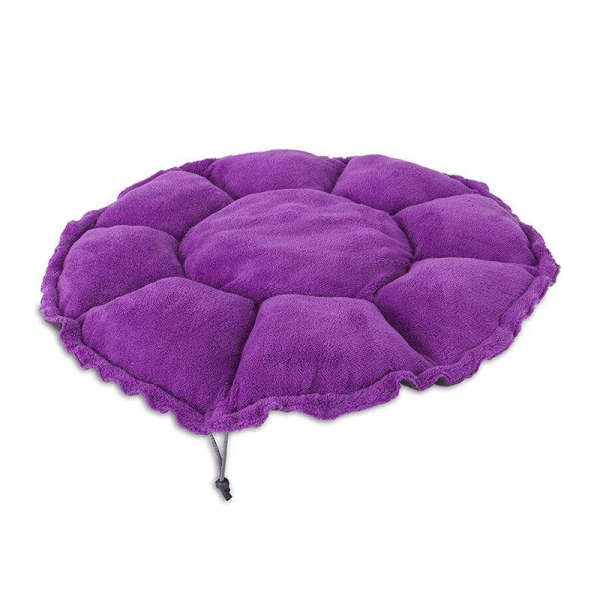 Cama y Alfombra Convertible - Jackson Galaxy
