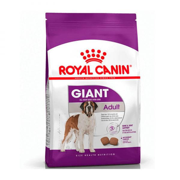giant adulto canino