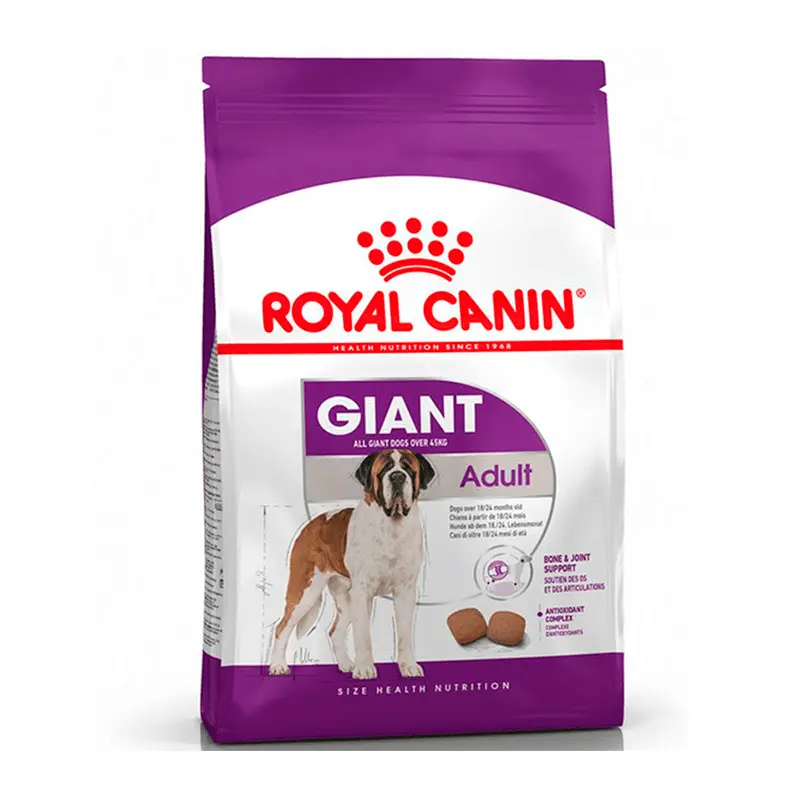giant adulto canino giant adulto canino