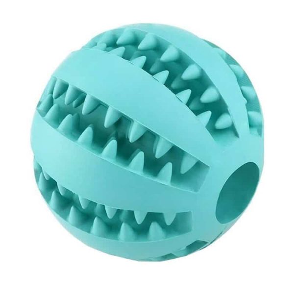 Warrior Juguete Turquesa de Limpieza Dental
