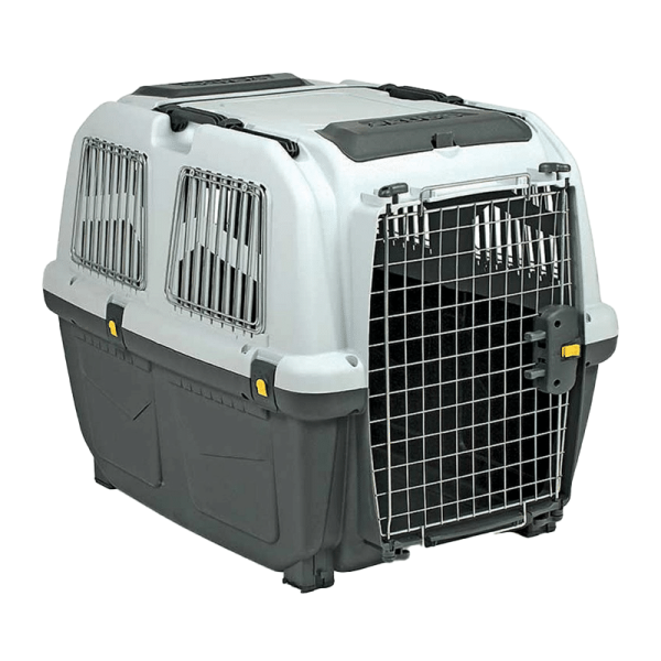 Transportador Skudo 6