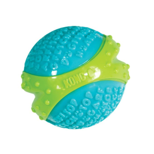 Pelota Kong Corestrength L