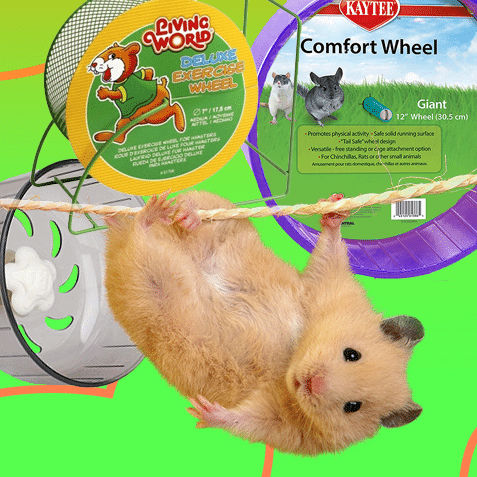 Rueda para hámsteres y jerbos