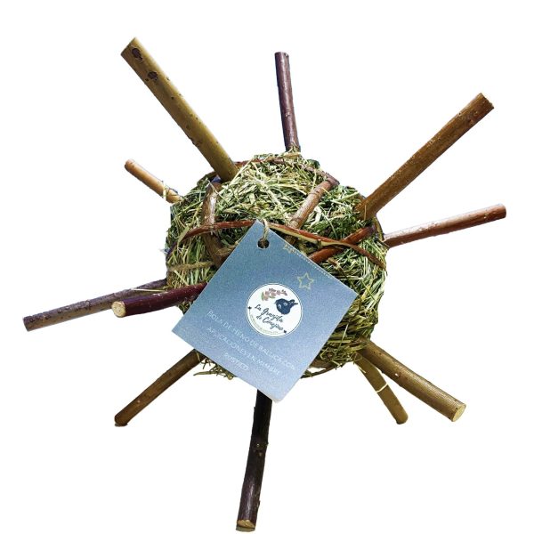 Ballica Espacial - La Granjita de Conejino