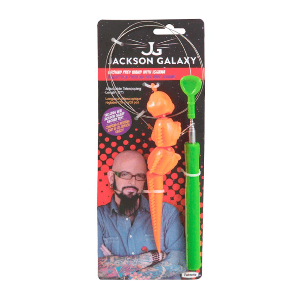 Jackson Galaxy Ground Wand Iguana