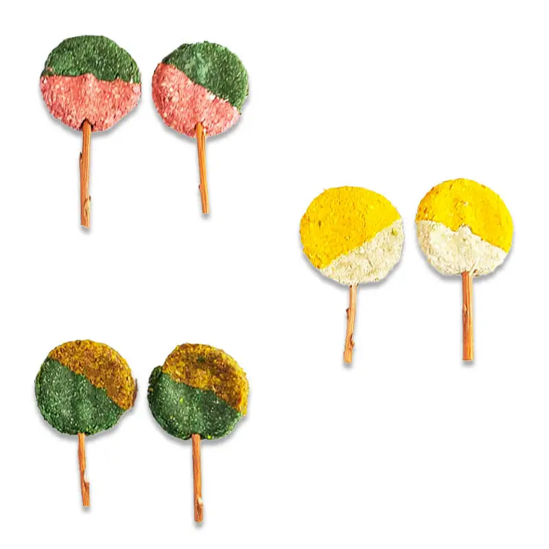109719 Mini Paletas