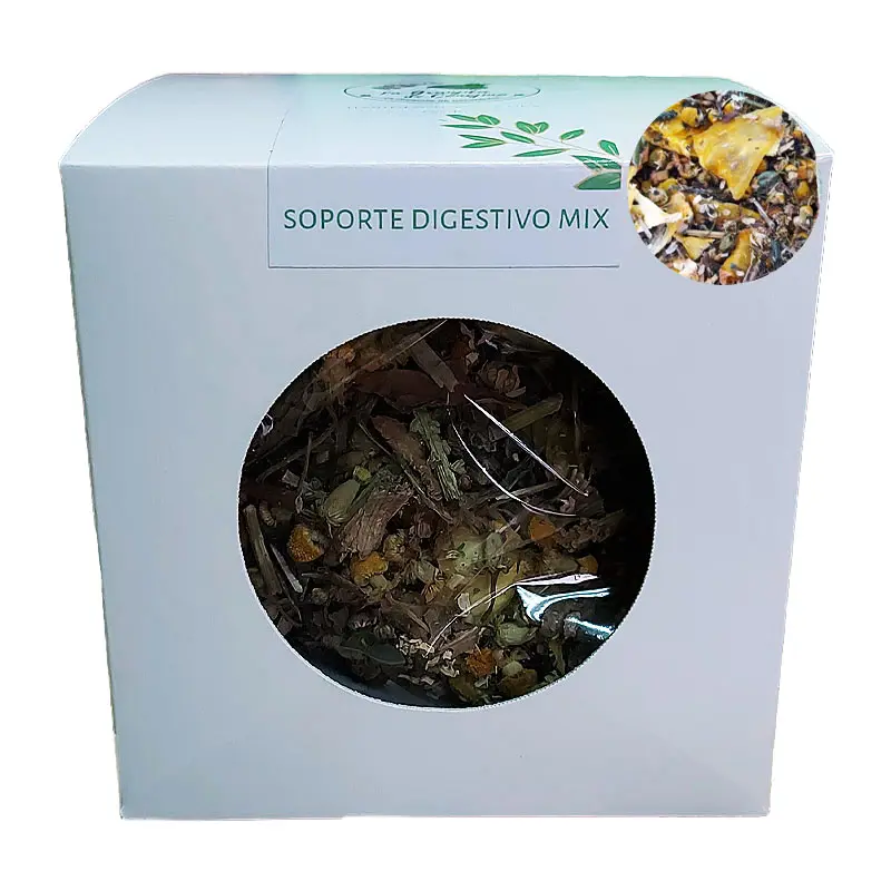 110979 Soporte Digestivo