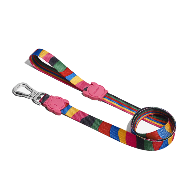 Zeedog Correa Chroma
