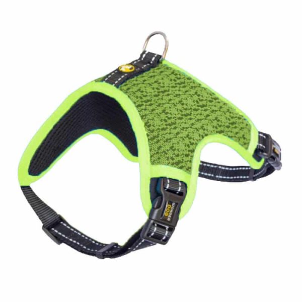 Wonder Dog Arnes the