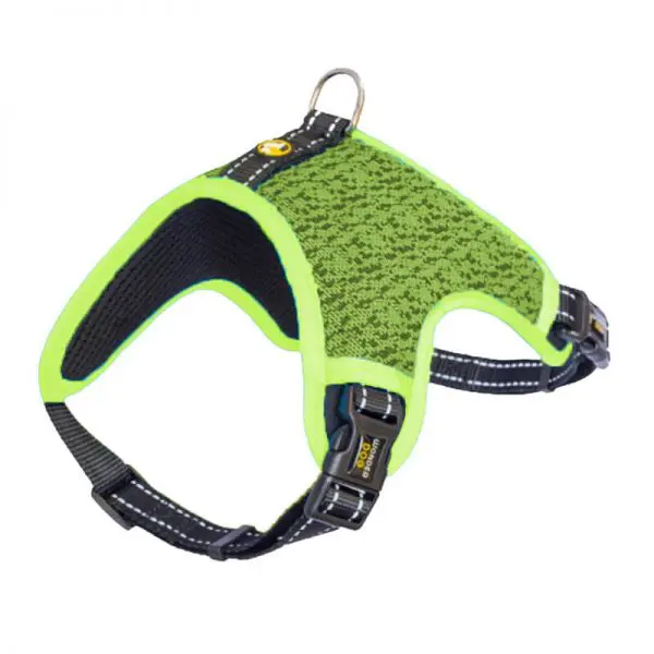 Wonder Dog Arnes the