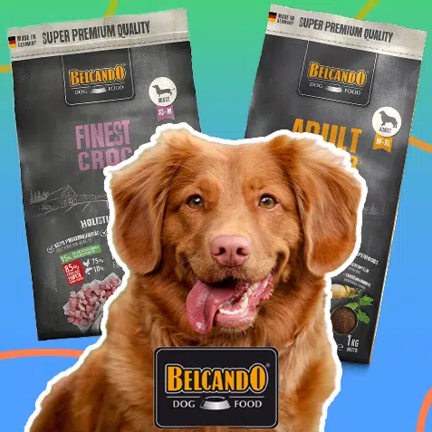 Alimentos Belcando en TusMascotas.cl