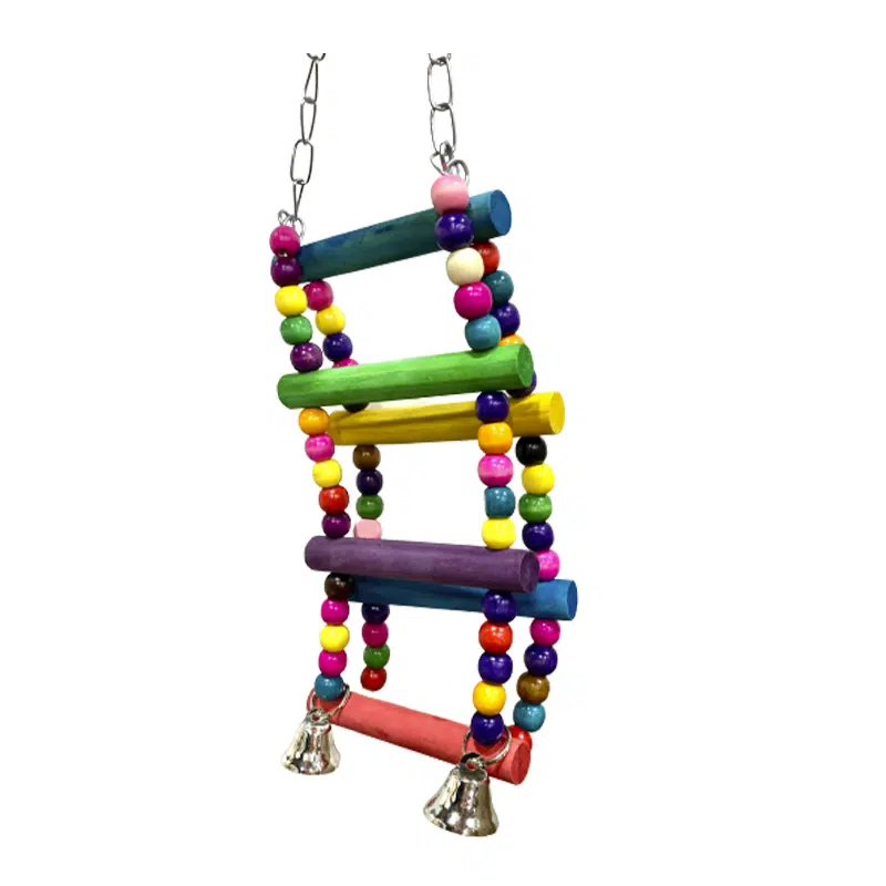 Columpio de colores para aves Columpio de colores para aves