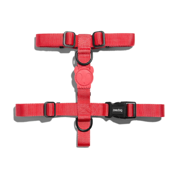 Arnes H Zeedog Neon Coral