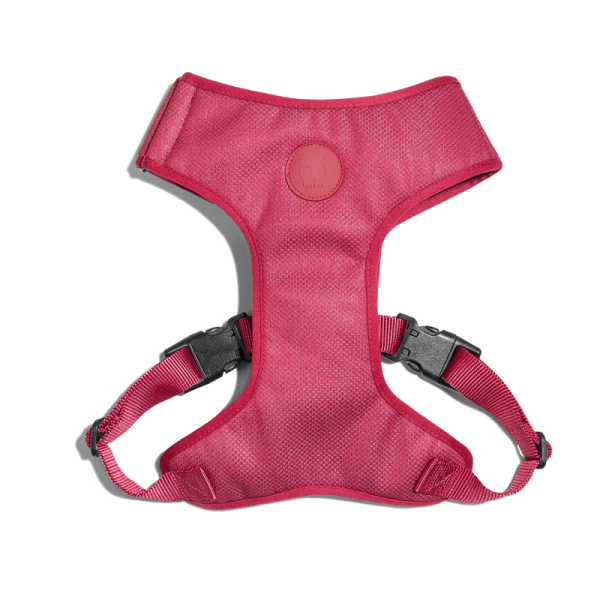 Arnes ajustable bordeau Air Mesh - S