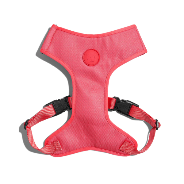 Arnes Ajustable Zeedog Neon Coral