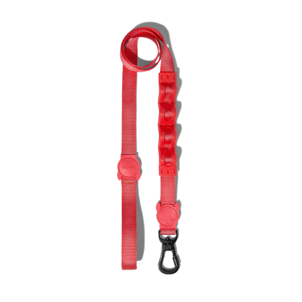 Correa Zeedog Neon Coral Ruff