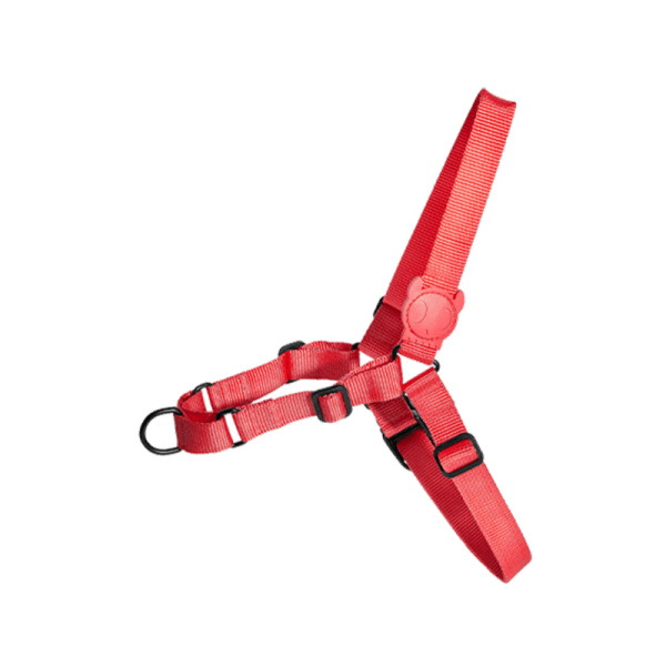 Arnes Zeedog Neon Coral