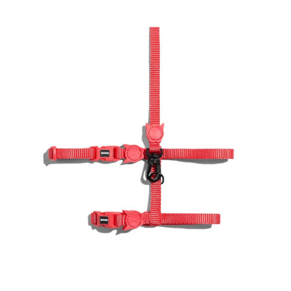 Correa y Arnes ZeeCat Neon Coral