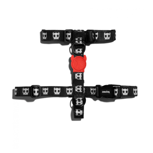 Arnes H Zeedog Skull 2.0