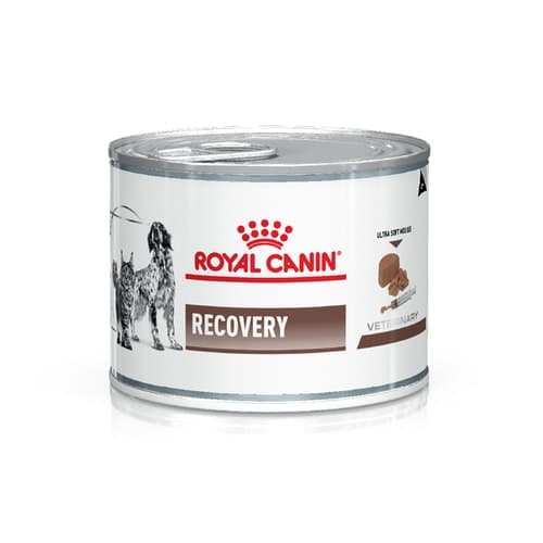 Royal Canin Lata Recovery 145gr