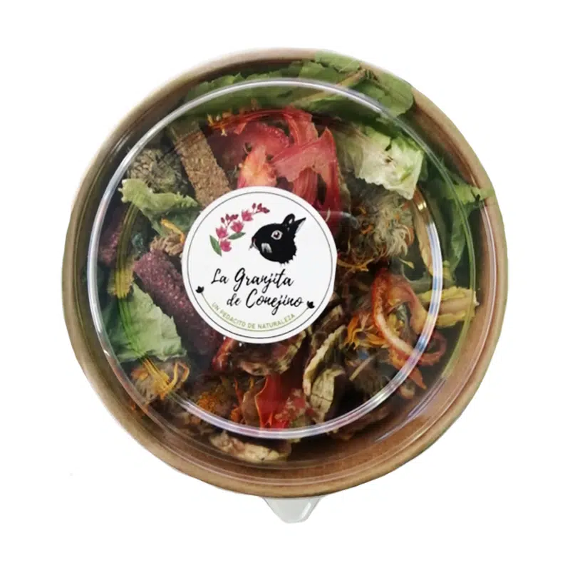 Ensalada César– La Granjita de Conejino Ensalada César– La Granjita de Conejino