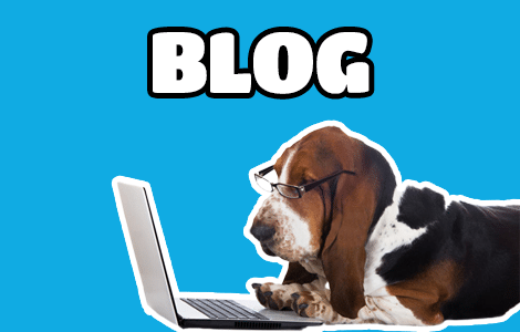Blog de perros, gatos y exóticos