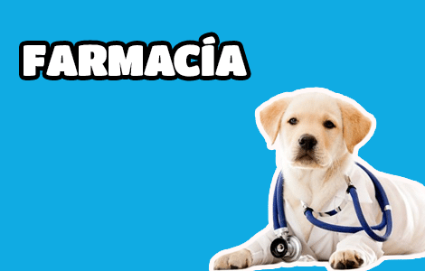 Farmacia para perros, gatos y exóticos