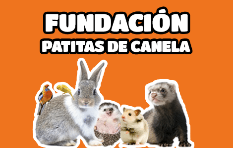 Fundación Patitas de Canela