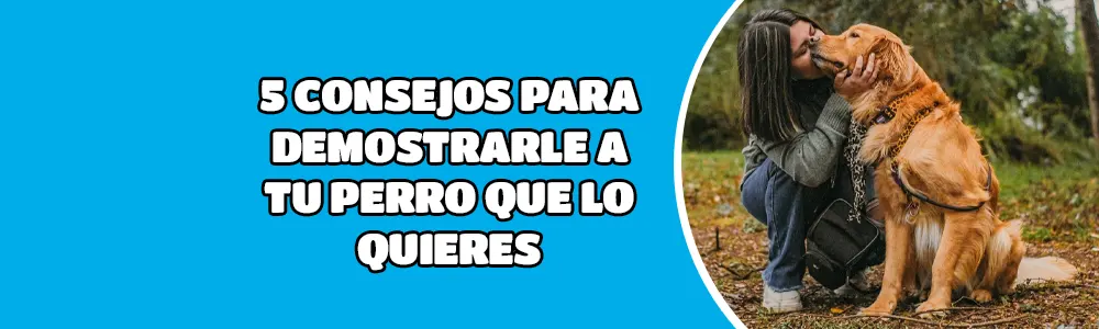5 consejos para demostrarle a tu perro que lo quieres