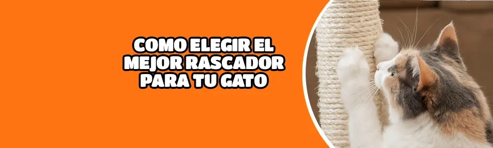 Como elegir el mejor rascador para un gato