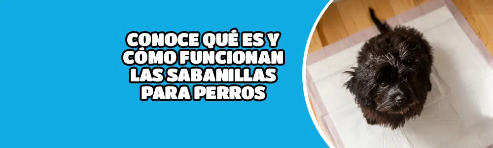 Conoce qué es y cómo funcionan las sabanillas para perros