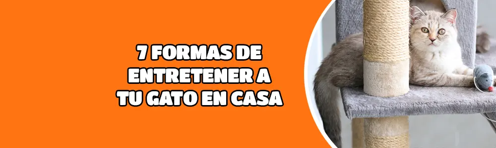 7 formas de mantener a tu gato entretenido en casa