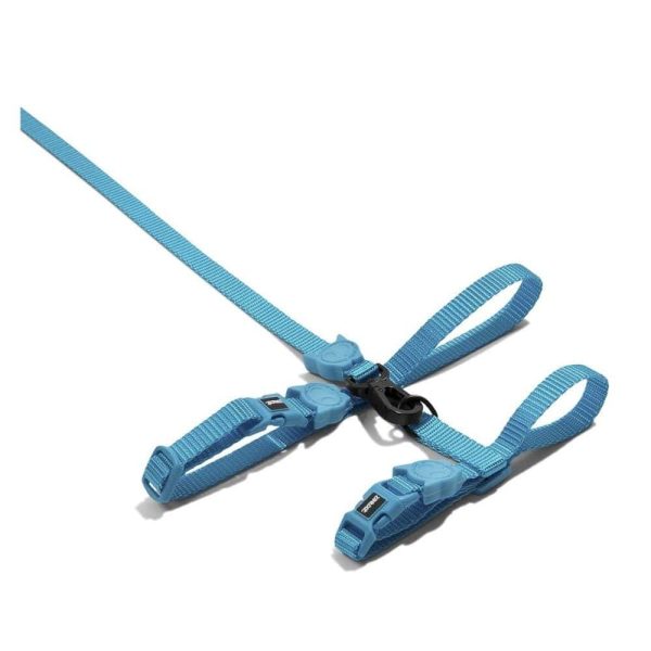 Zeecat Arnes y Correa Ultimate Blue
