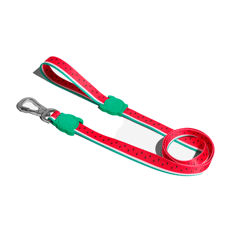 Zeedog – Correa S Lola