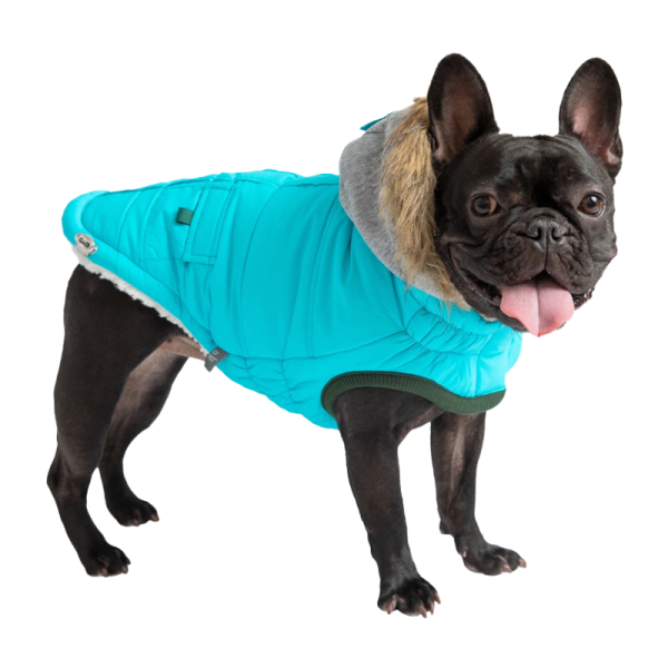 Parka Winter Sailor Aqua 3XL - GF PET