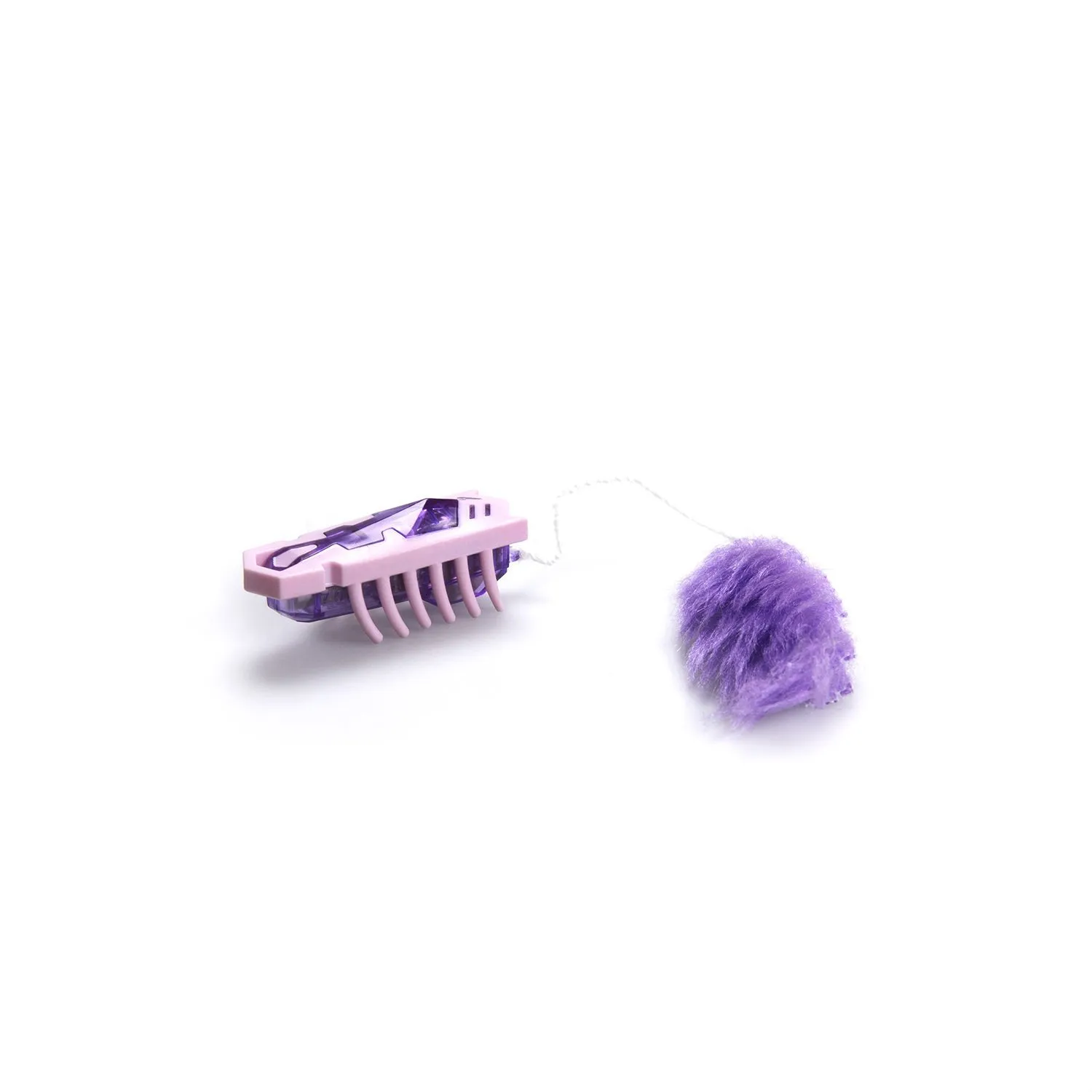 cattoy-single-pinkpurple_out_pkg_front_051518_1