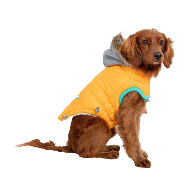 Parka Winter Sailor Amarillo