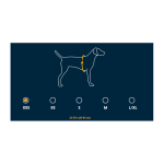 Arnés Ruffwear - Huckleberry Blue - XXS