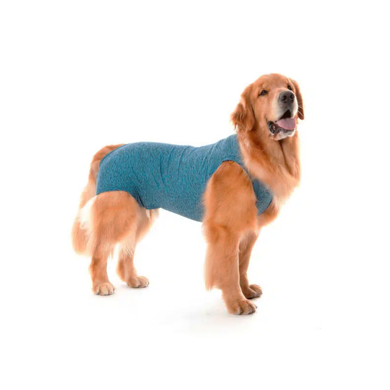 Body Protector y Post-quirurgico Perro Castrado 10 AZUL
