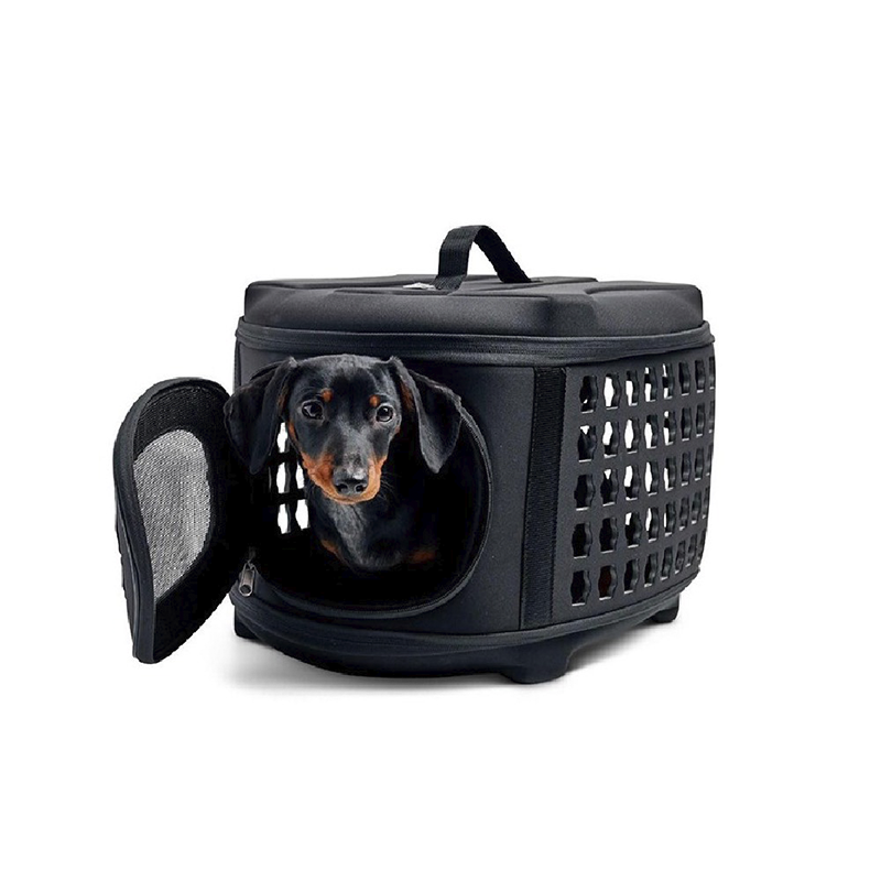GFPET Transportadora Colapsable GFPET Transportadora Colapsable