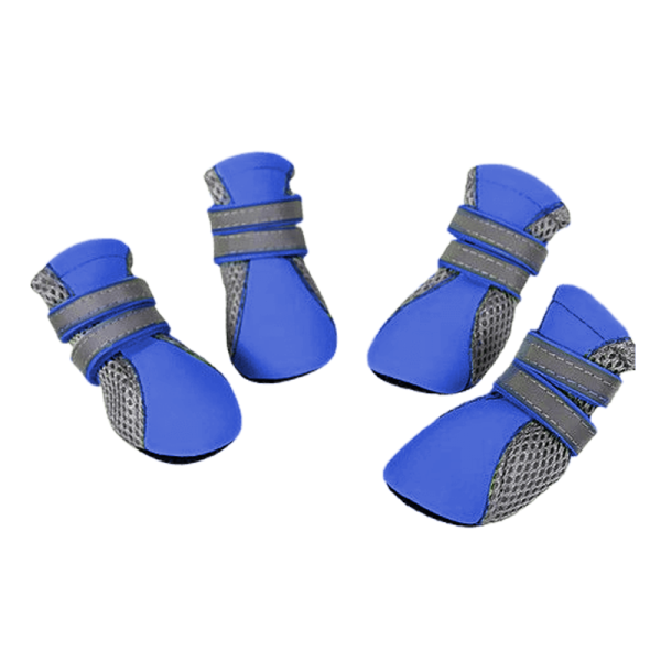 Zapatos Para Perros Wonder Dog M AZUL