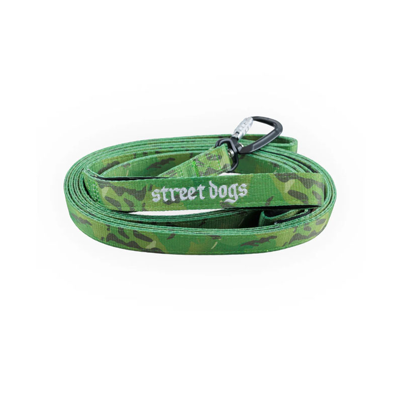 estreet dog verde